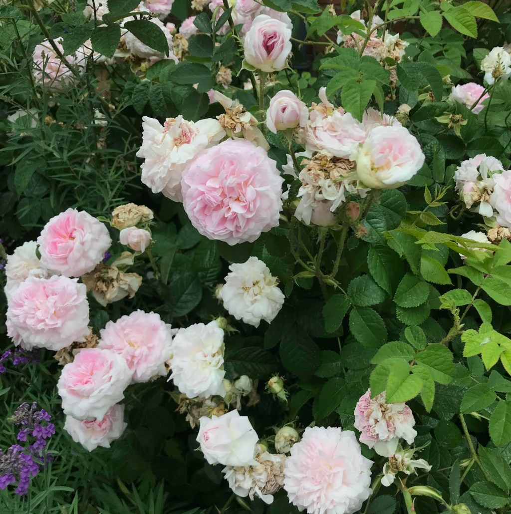 Landscape Painting – A Short Short&nbsp;Story